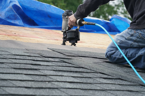 Best Roof Gutter Cleaning  in Eufaula, AL